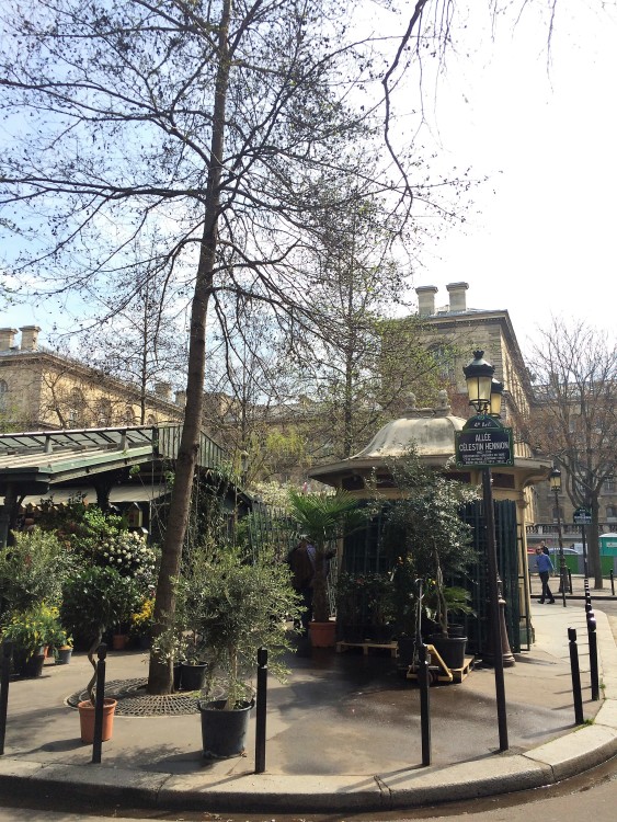 Marché aux Fleurs-Île-de-la-cité-30joursaparis