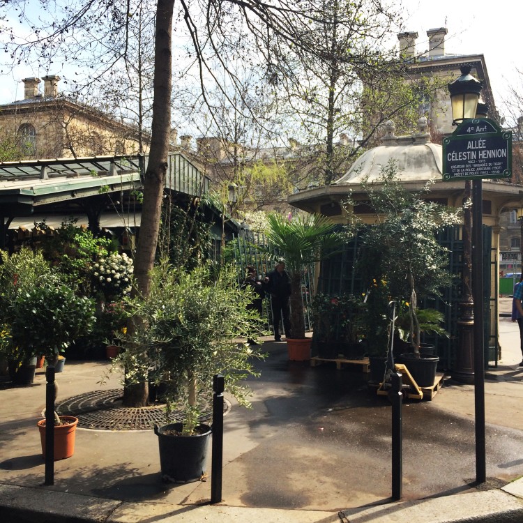 Marché aux Fleurs-Île-de-la-cité-place-30joursaparis