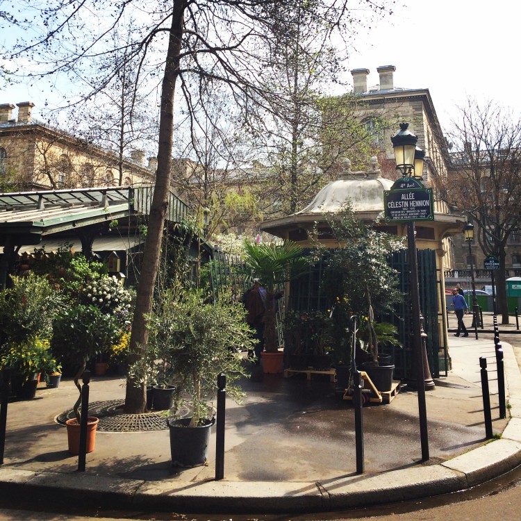 Marché-aux-Fleurs-et-aux-oiseaux-Île-de-la-cité-30joursaparis-e1491529265256.jpg