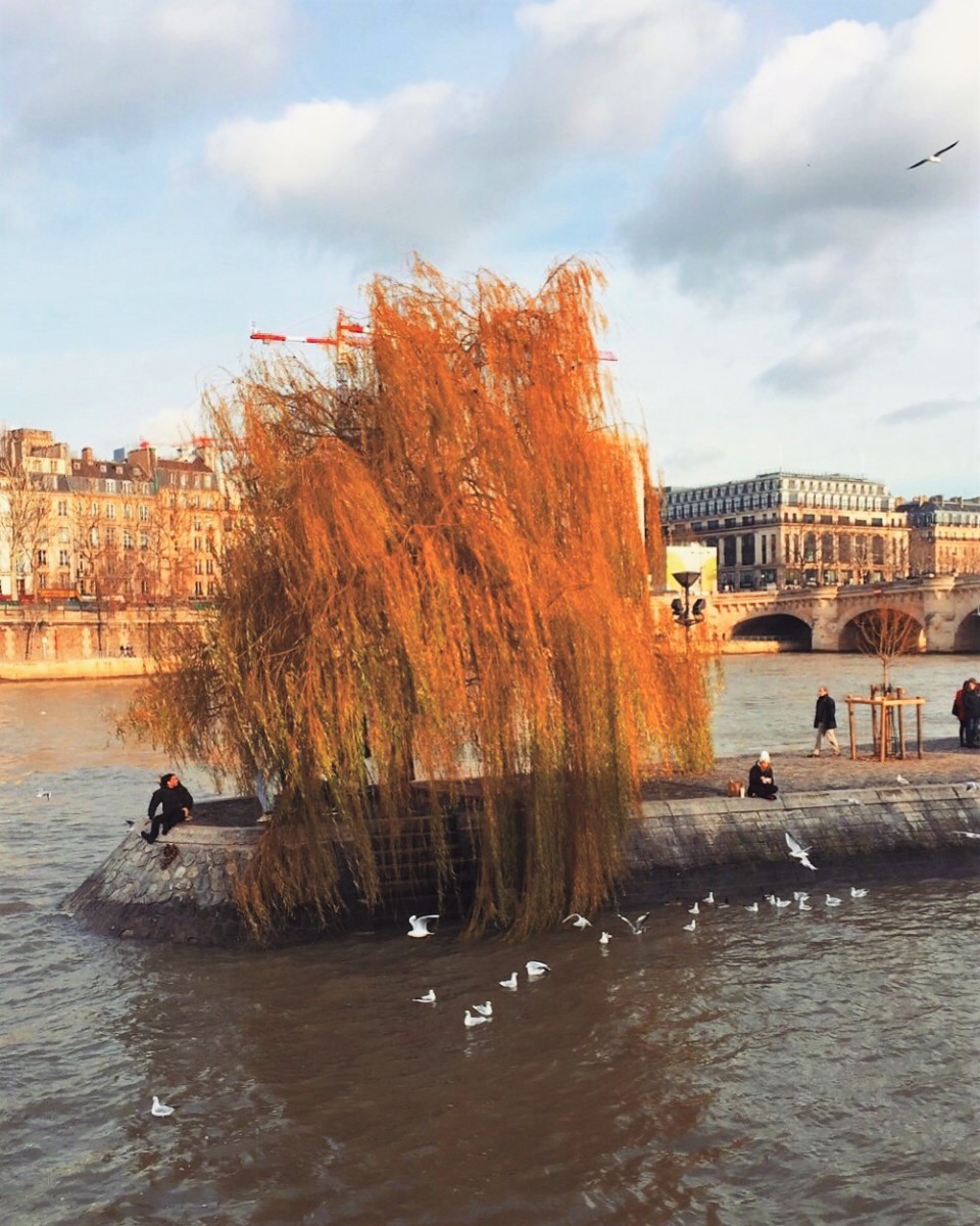 Rio-sena-passeio-de-barco-square-du-vert-galant-bateaux-parisiens-30joursaparis-960x1200.jpg